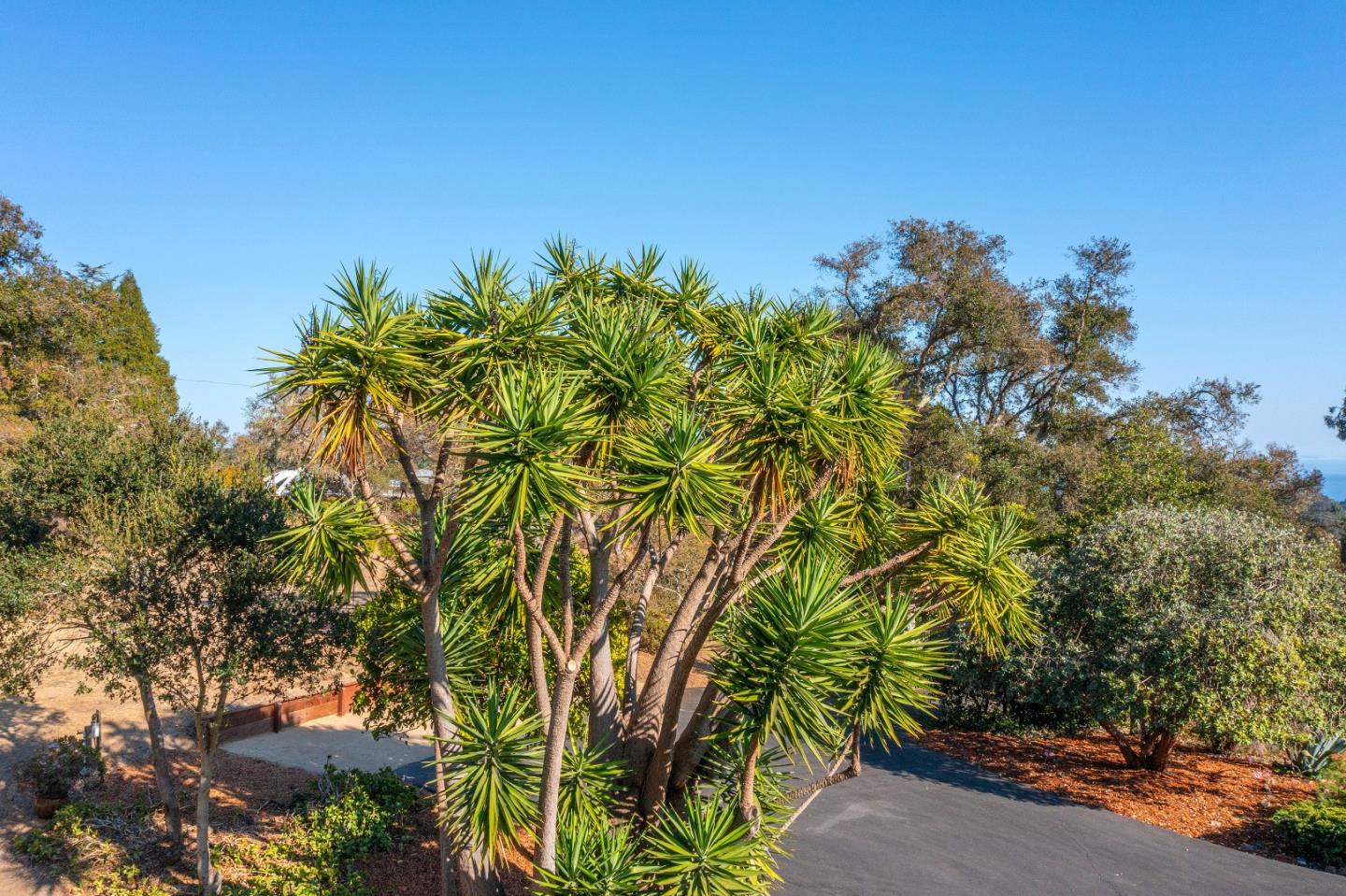Detail Gallery Image 64 of 70 For 3600 N Park Ave, Soquel,  CA 95073 - 3 Beds | 2/1 Baths