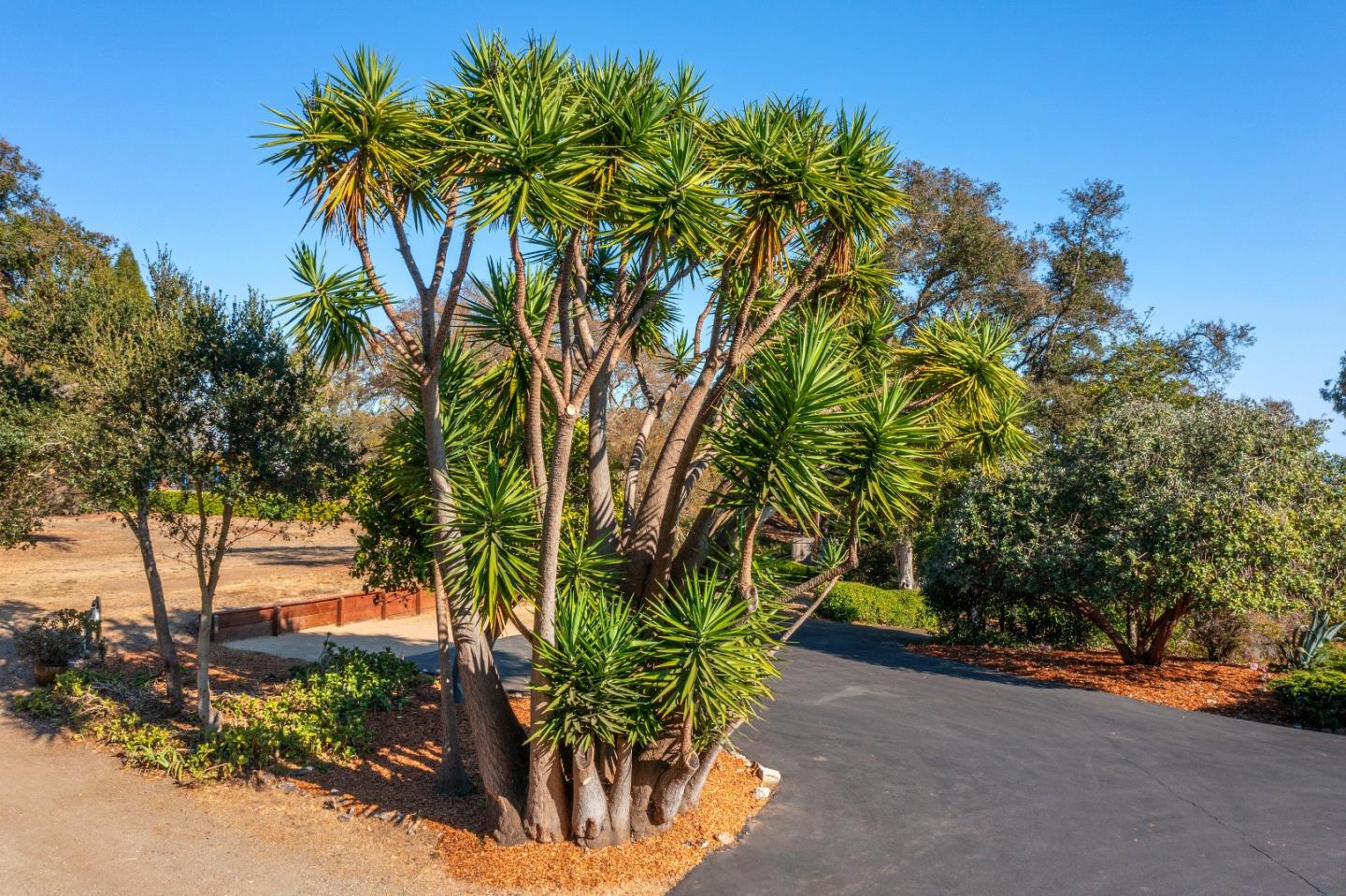 Detail Gallery Image 65 of 70 For 3600 N Park Ave, Soquel,  CA 95073 - 3 Beds | 2/1 Baths