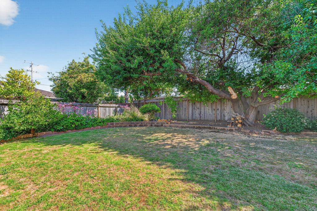 Detail Gallery Image 11 of 38 For 254 Rogers Ave, Watsonville,  CA 95076 - 5 Beds | 3 Baths
