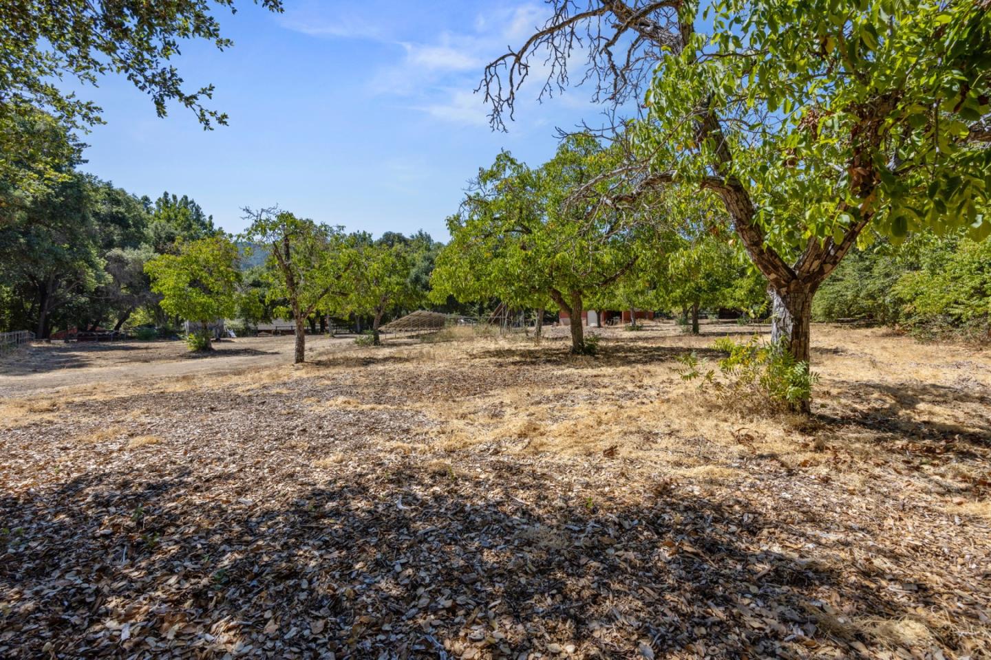 Detail Gallery Image 61 of 79 For 19405 Bainter Ave, Saratoga,  CA 95070 - 5 Beds | 5 Baths