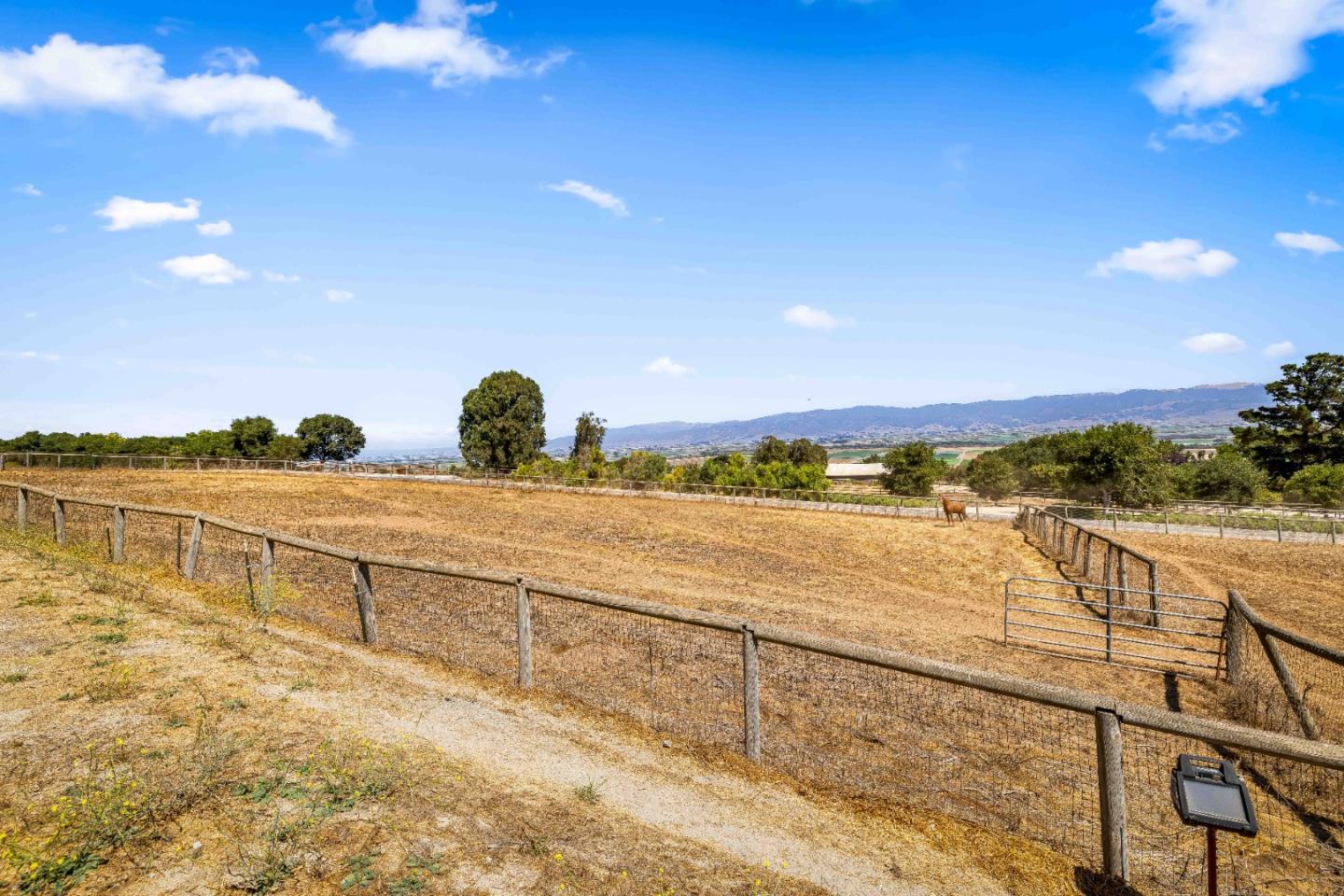 Detail Gallery Image 33 of 41 For 846 River Rd, Salinas,  CA 93908 - 3 Beds | 2/1 Baths