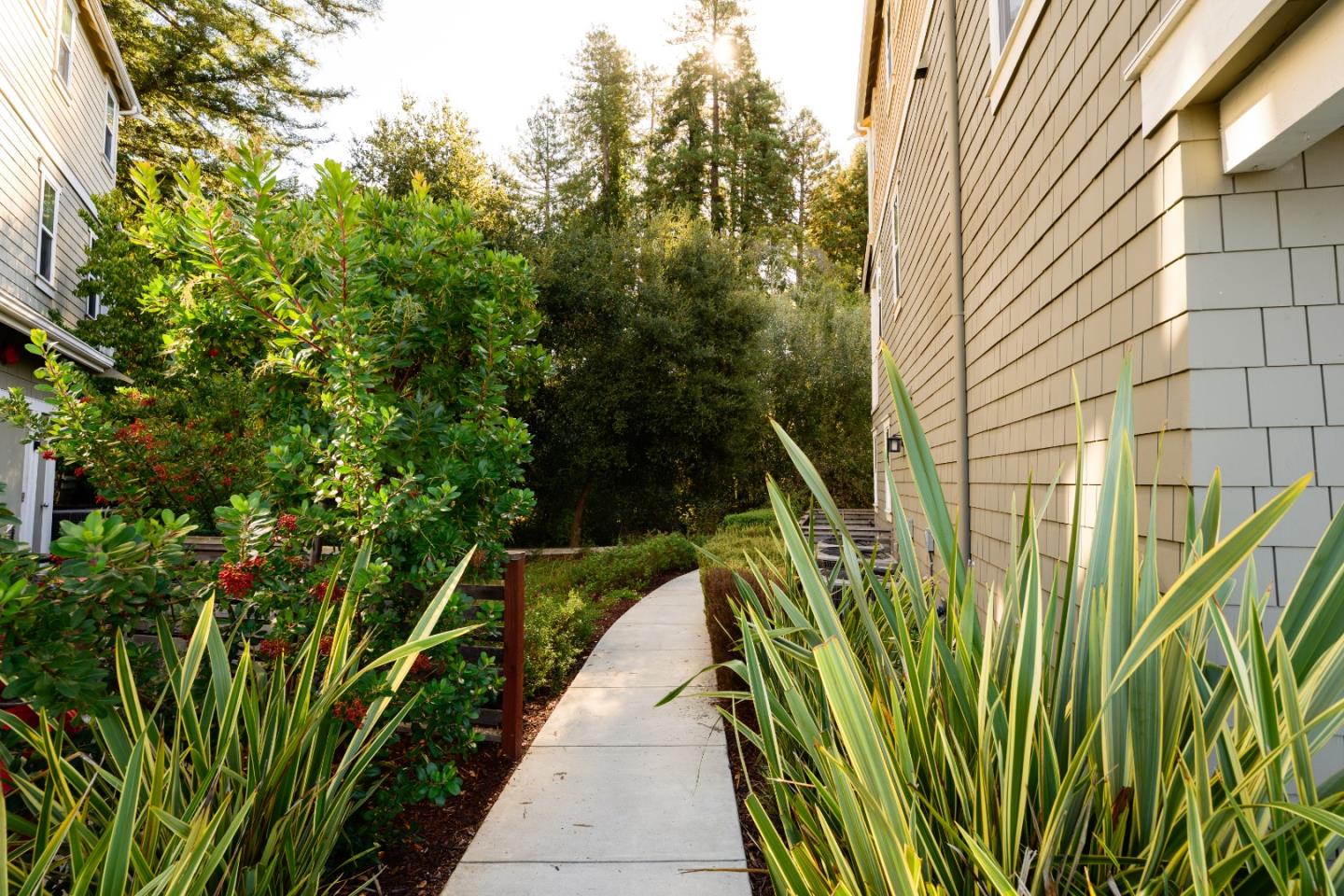 Detail Gallery Image 8 of 108 For 339 Skyforest Way, Scotts Valley,  CA 95066 - 3 Beds | 2/1 Baths