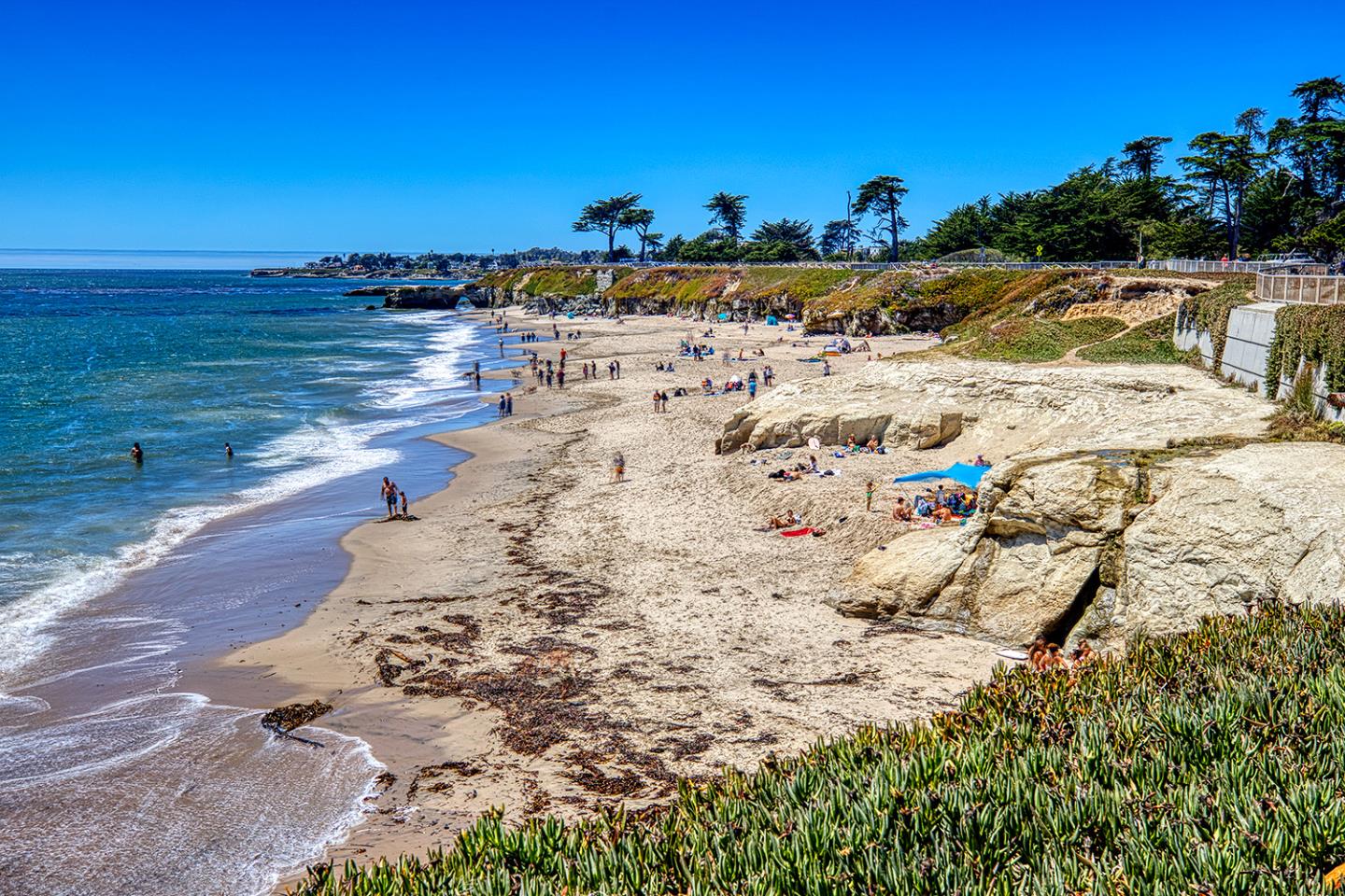 Detail Gallery Image 40 of 40 For 260 High St #206,  Santa Cruz,  CA 95060 - 1 Beds | 1 Baths