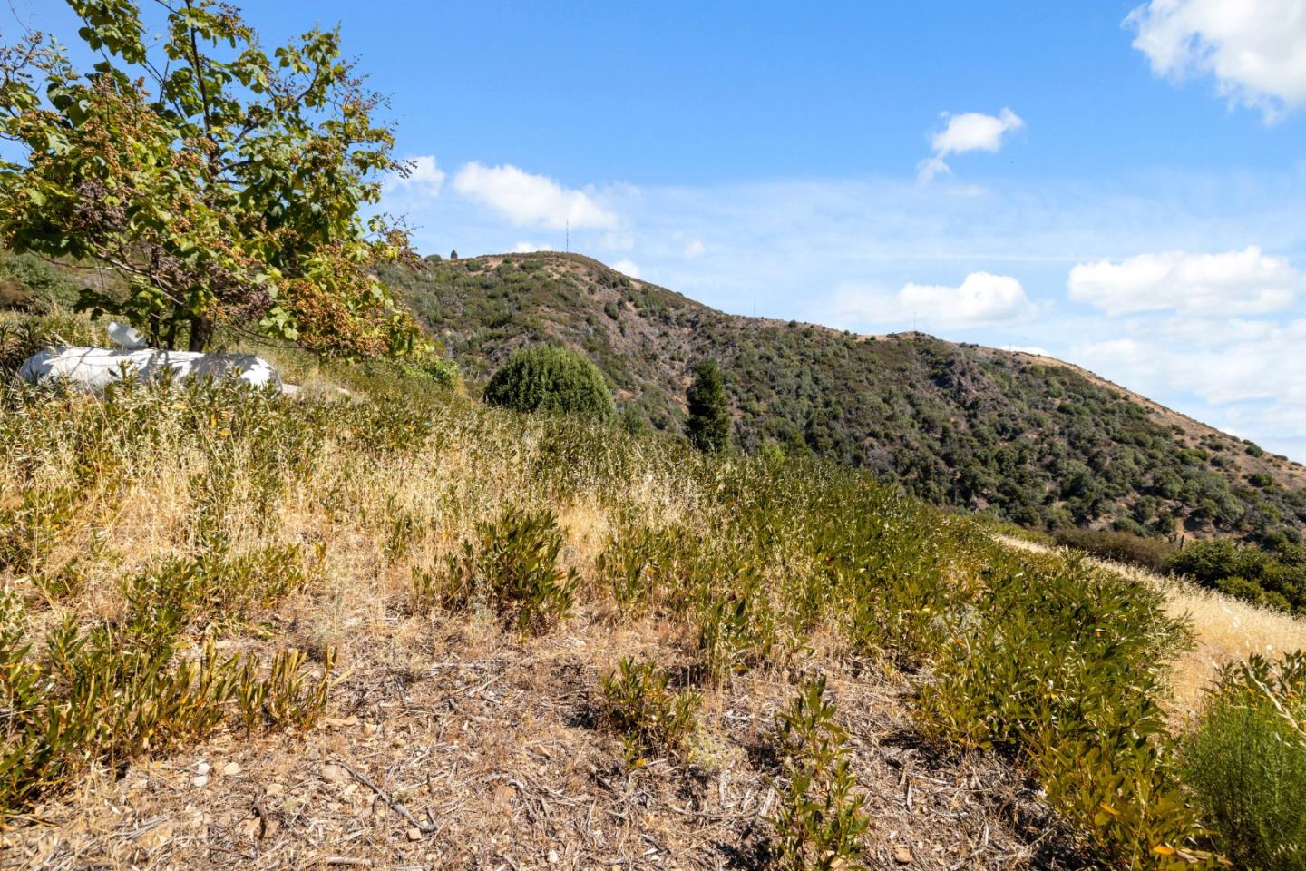 Detail Gallery Image 38 of 54 For 35005 Loma Chiquita Rd, Los Gatos,  CA 95033 - – Beds | – Baths