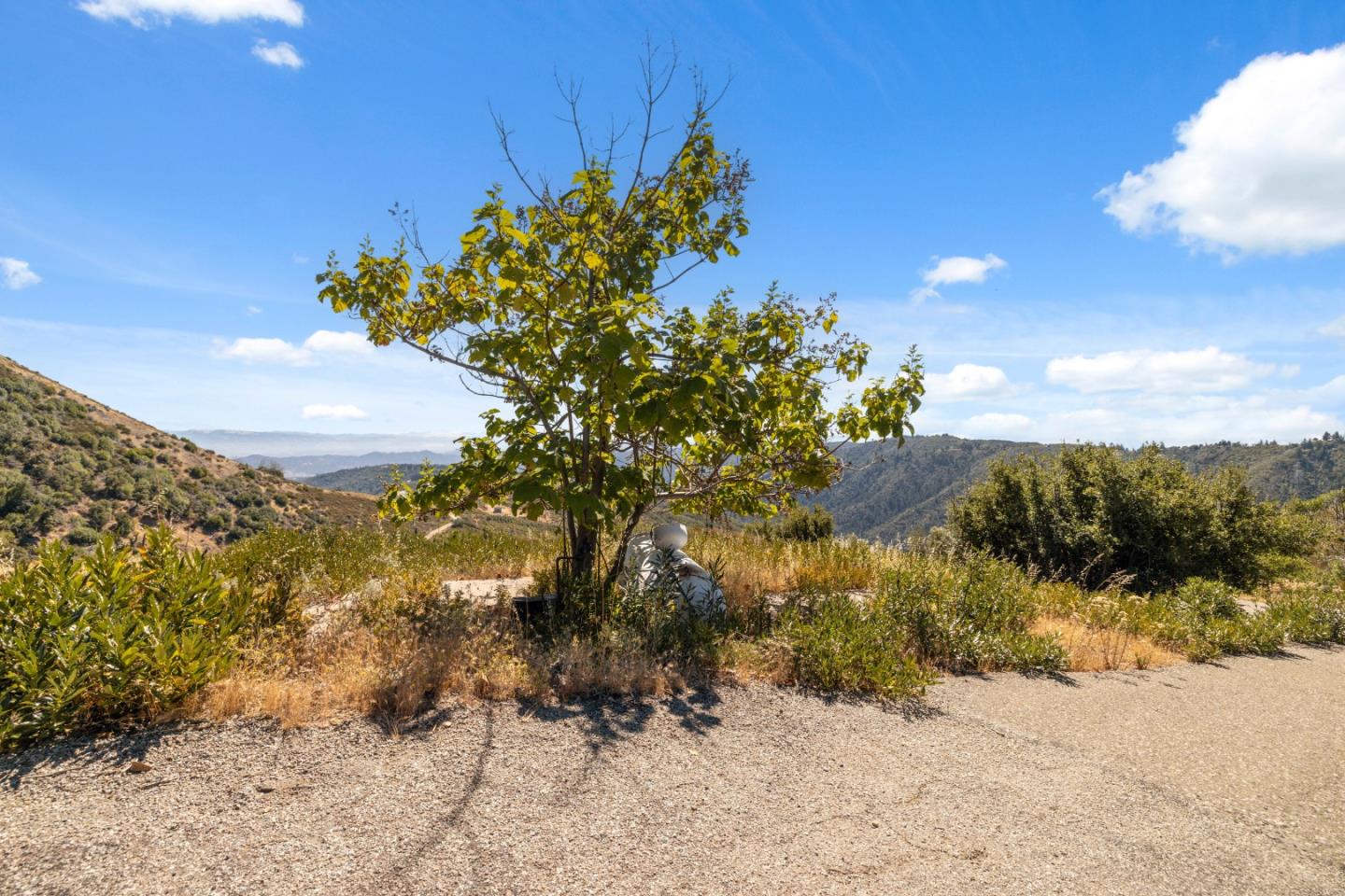 Detail Gallery Image 40 of 54 For 35005 Loma Chiquita Rd, Los Gatos,  CA 95033 - – Beds | – Baths