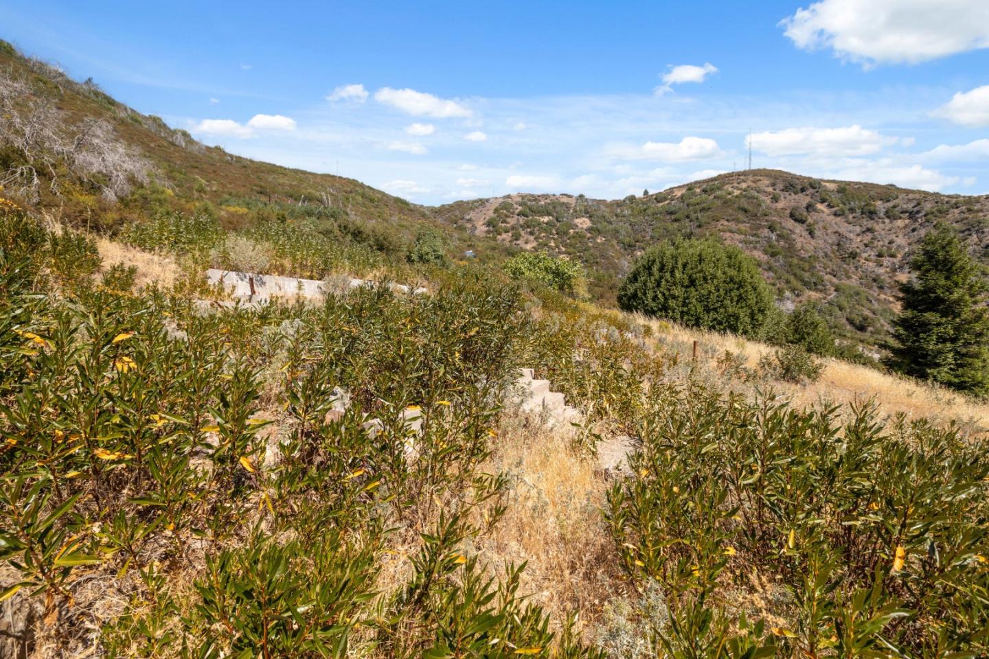 Detail Gallery Image 48 of 54 For 35005 Loma Chiquita Rd, Los Gatos,  CA 95033 - – Beds | – Baths
