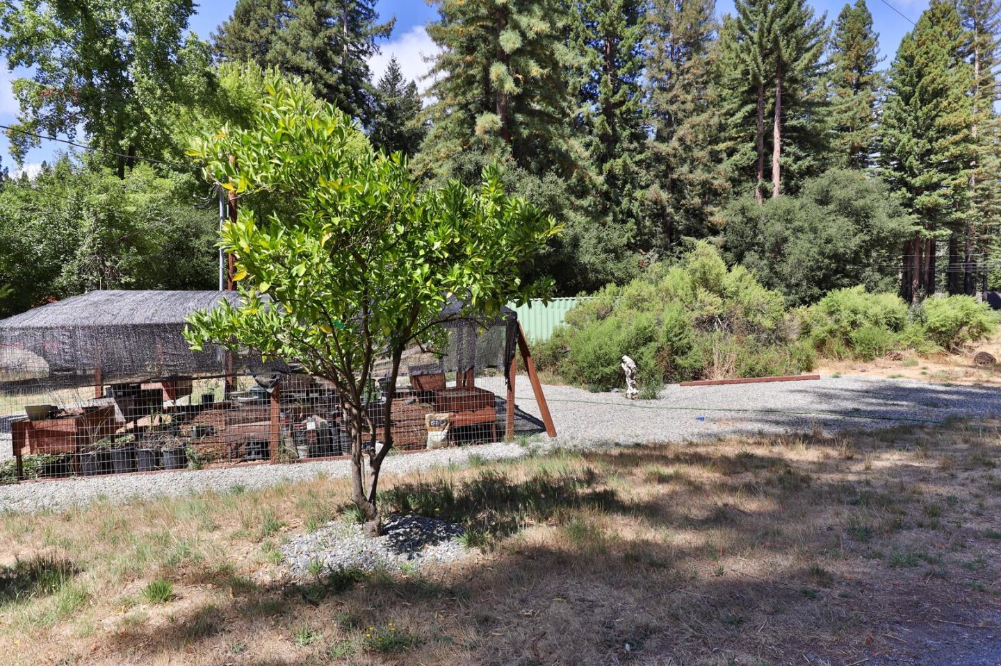 Detail Gallery Image 41 of 66 For 165 Coffeeberry Dr, Boulder Creek,  CA 95006 - 3 Beds | 2/1 Baths