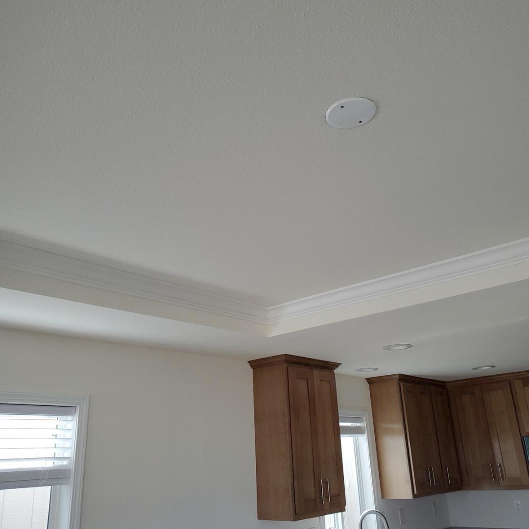Detail Gallery Image 58 of 66 For 165 Coffeeberry Dr, Boulder Creek,  CA 95006 - 3 Beds | 2/1 Baths