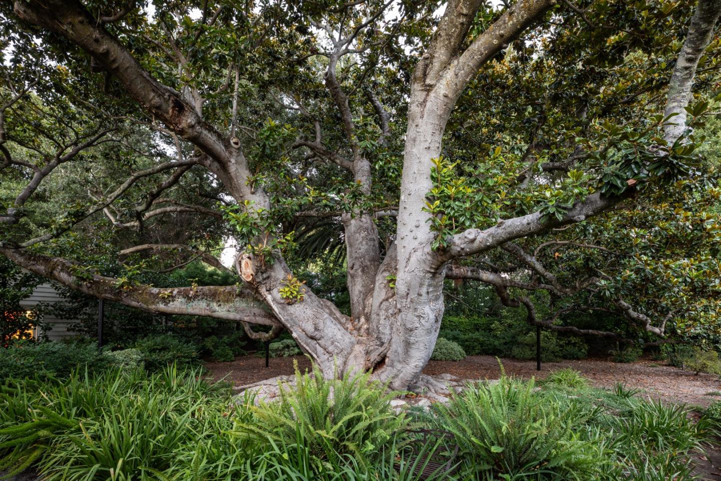 77 Flood Circle, Atherton, CA, 94027