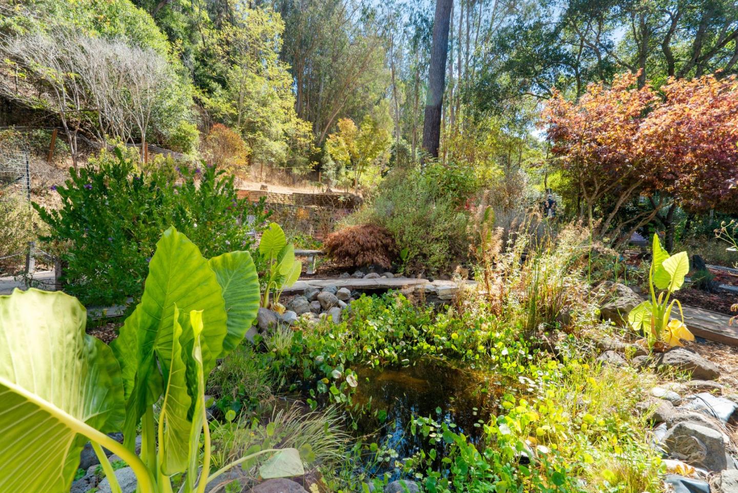 Detail Gallery Image 66 of 72 For 530 Flume Rd, Aptos,  CA 95003 - 3 Beds | 2/1 Baths