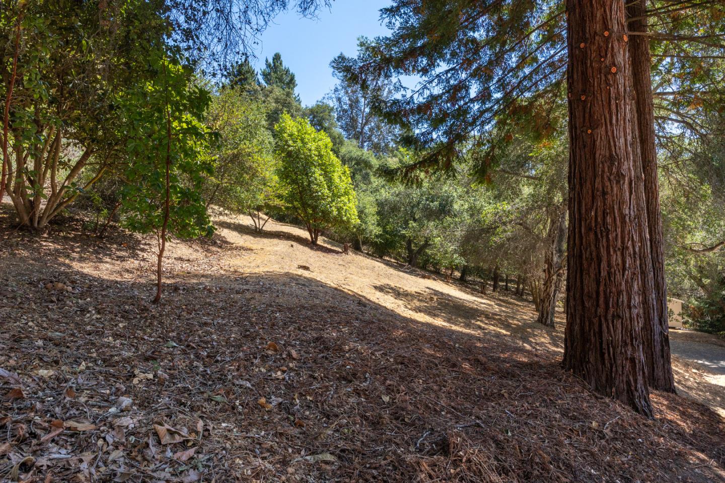 Detail Gallery Image 57 of 58 For 422 Allan Ln, Corralitos,  CA 95076 - 4 Beds | 2 Baths