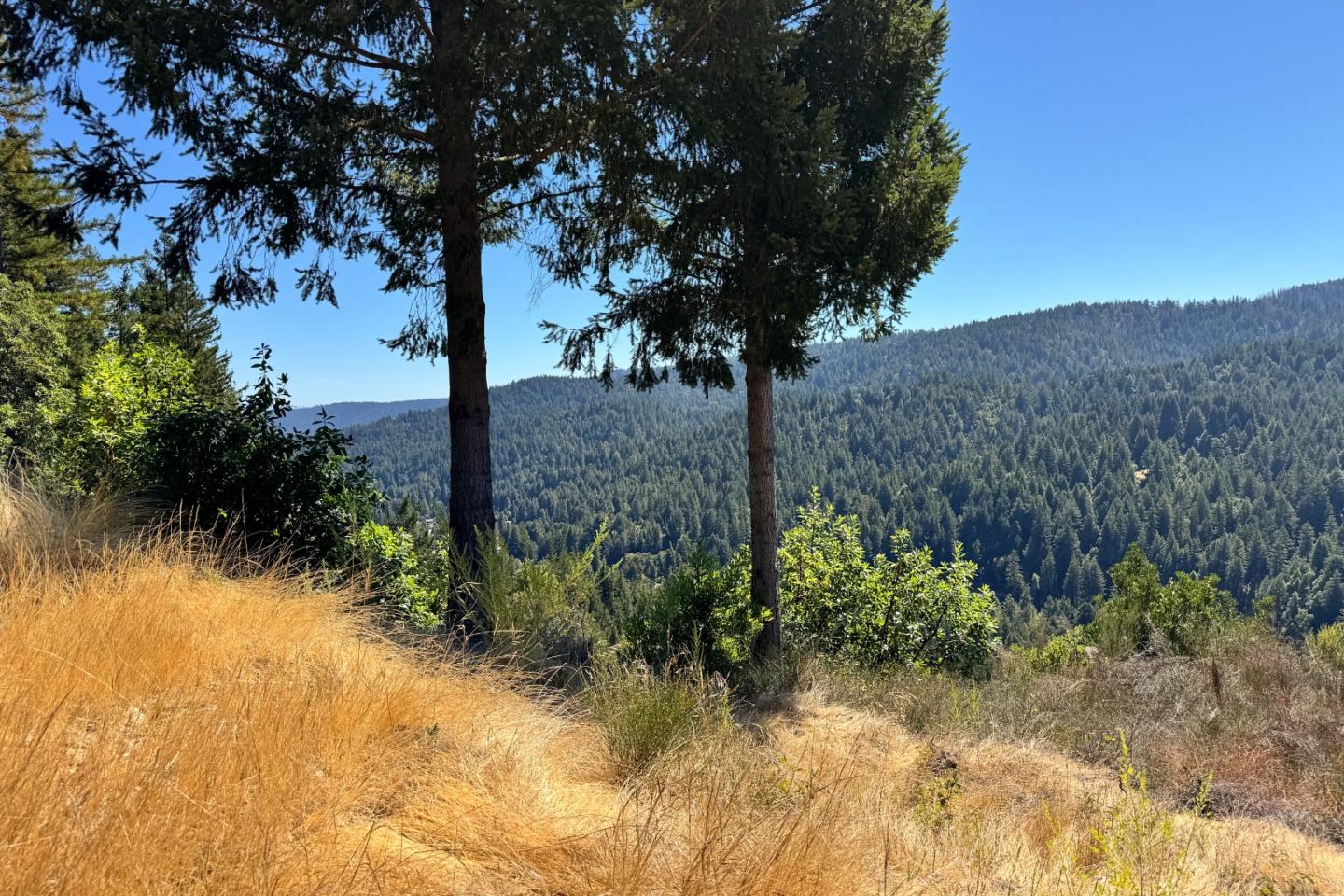 Detail Gallery Image 11 of 15 For 1200 Roberts Rd, Ben Lomond,  CA 95005 - – Beds | – Baths