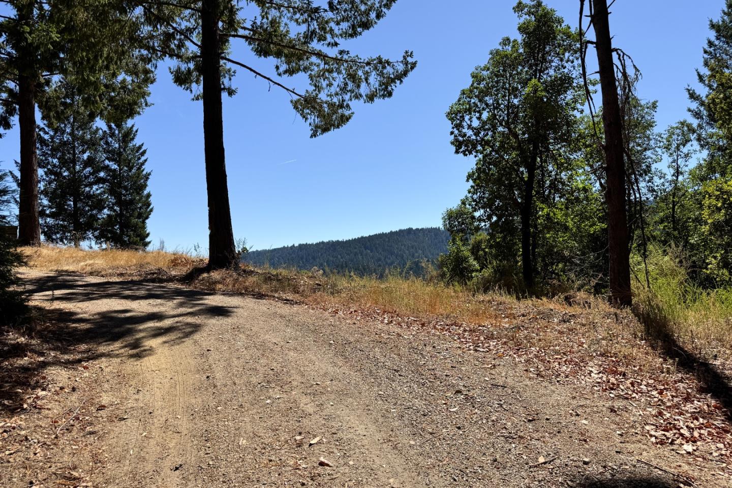 Detail Gallery Image 13 of 15 For 1200 Roberts Rd, Ben Lomond,  CA 95005 - – Beds | – Baths