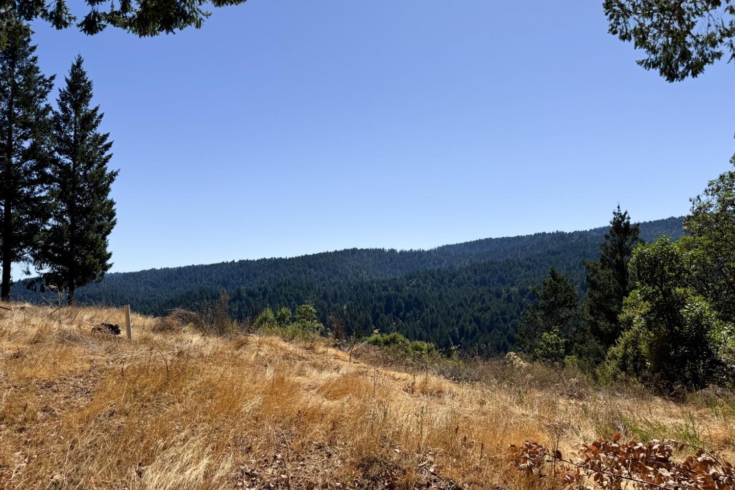 Detail Gallery Image 6 of 15 For 1200 Roberts Rd, Ben Lomond,  CA 95005 - – Beds | – Baths