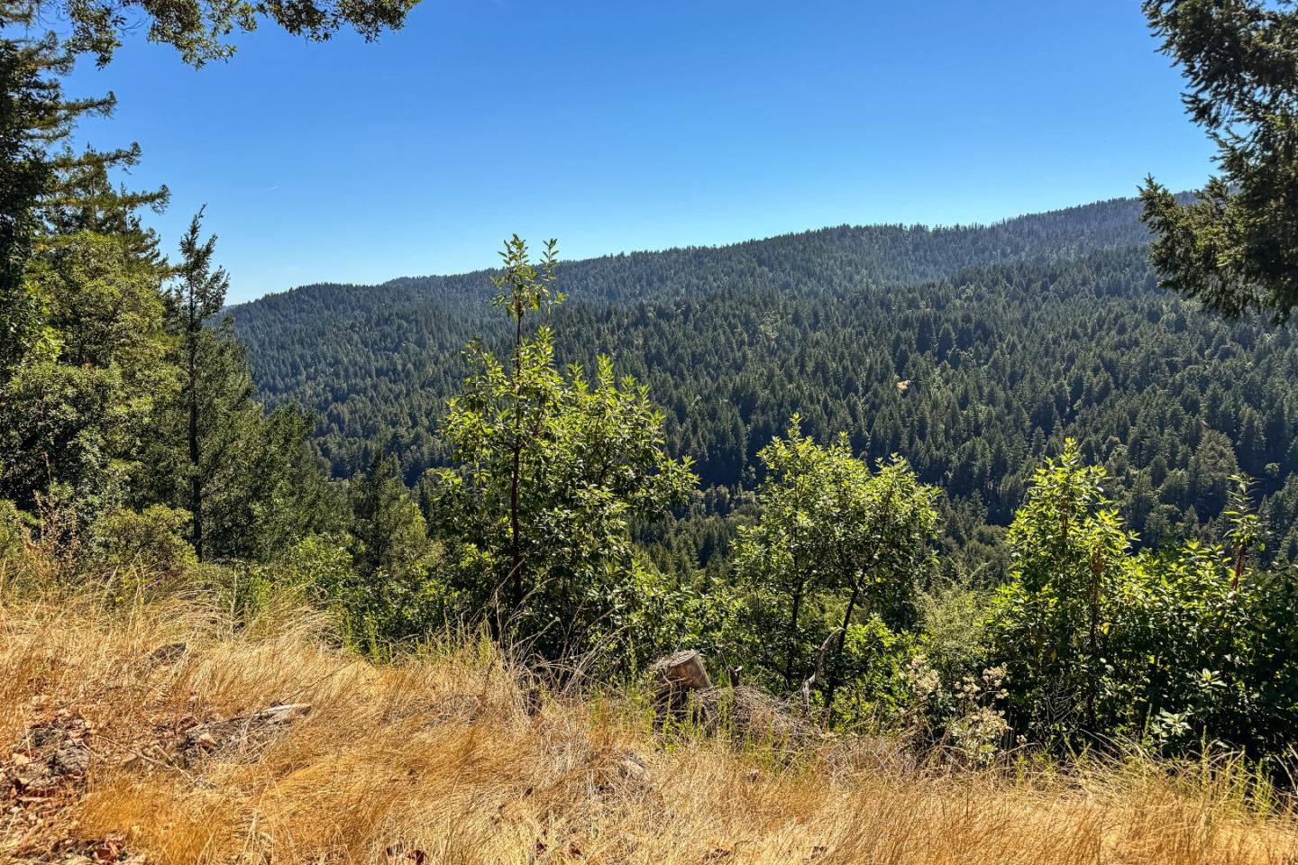 Detail Gallery Image 8 of 15 For 1200 Roberts Rd, Ben Lomond,  CA 95005 - – Beds | – Baths