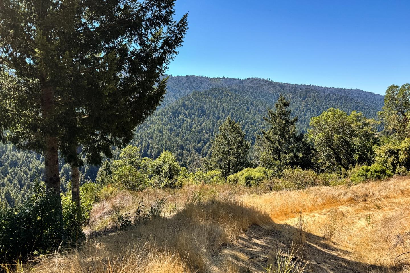 Detail Gallery Image 9 of 15 For 1200 Roberts Rd, Ben Lomond,  CA 95005 - – Beds | – Baths