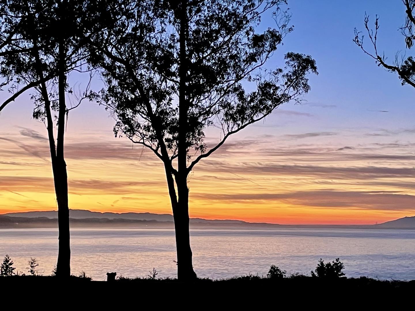 Detail Gallery Image 29 of 33 For 825 Balboa Ave #104,  Capitola,  CA 95010 - 2 Beds | 1/1 Baths