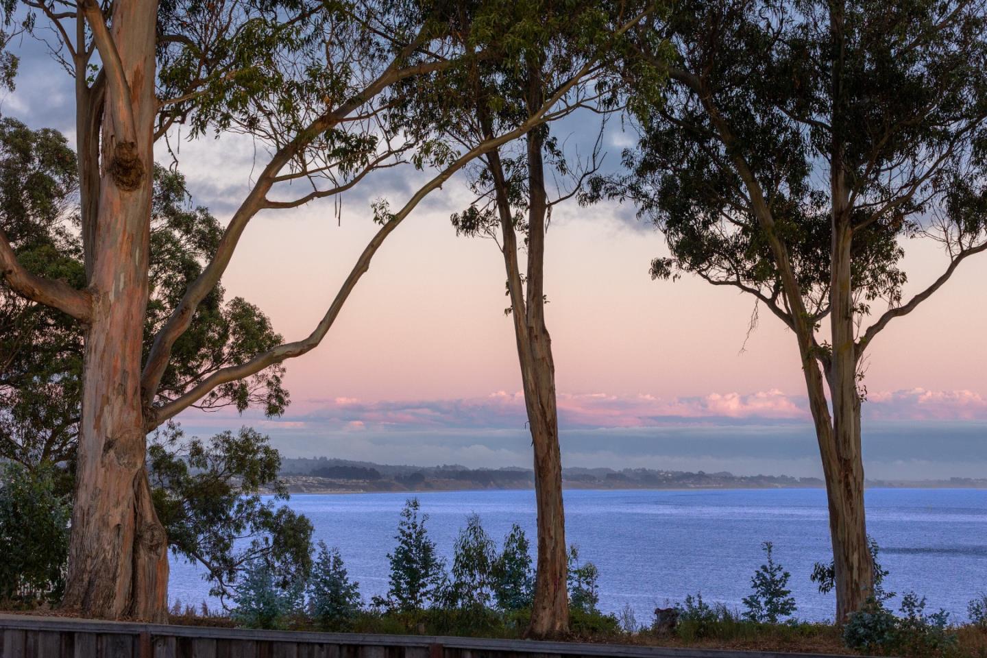 Detail Gallery Image 4 of 33 For 825 Balboa Ave #104,  Capitola,  CA 95010 - 2 Beds | 1/1 Baths