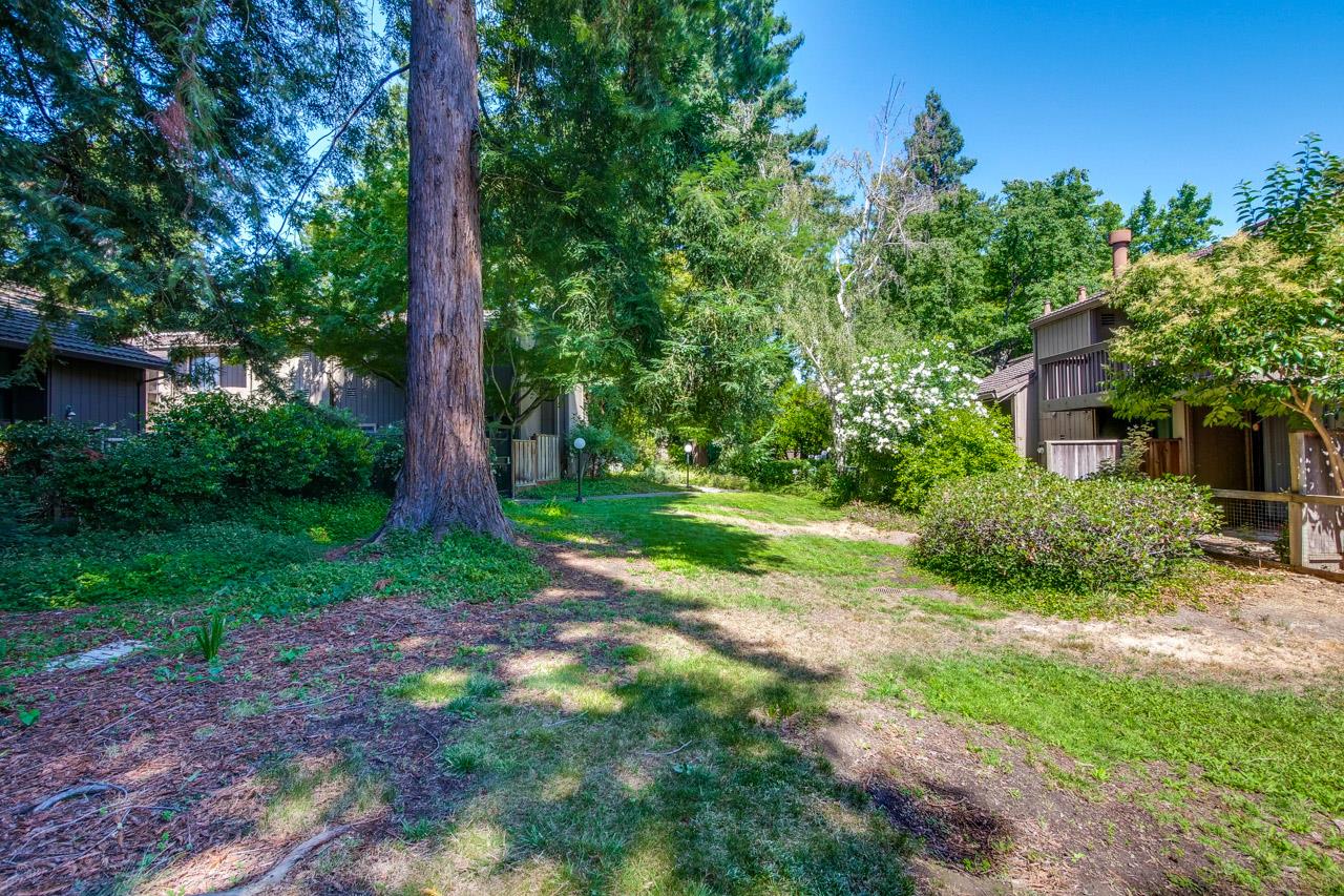 Detail Gallery Image 68 of 76 For 268 Andsbury Ave, Mountain View,  CA 94043 - 3 Beds | 2 Baths