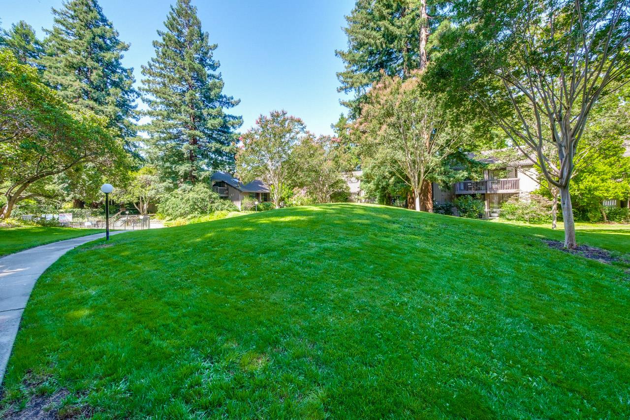 Detail Gallery Image 70 of 76 For 268 Andsbury Ave, Mountain View,  CA 94043 - 3 Beds | 2 Baths