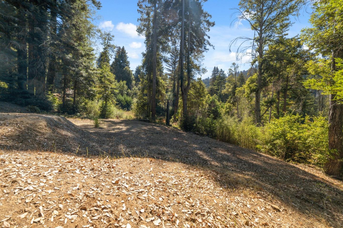 Detail Gallery Image 6 of 26 For 185 Sweetwater Ln, Ben Lomond,  CA 95005 - – Beds | – Baths
