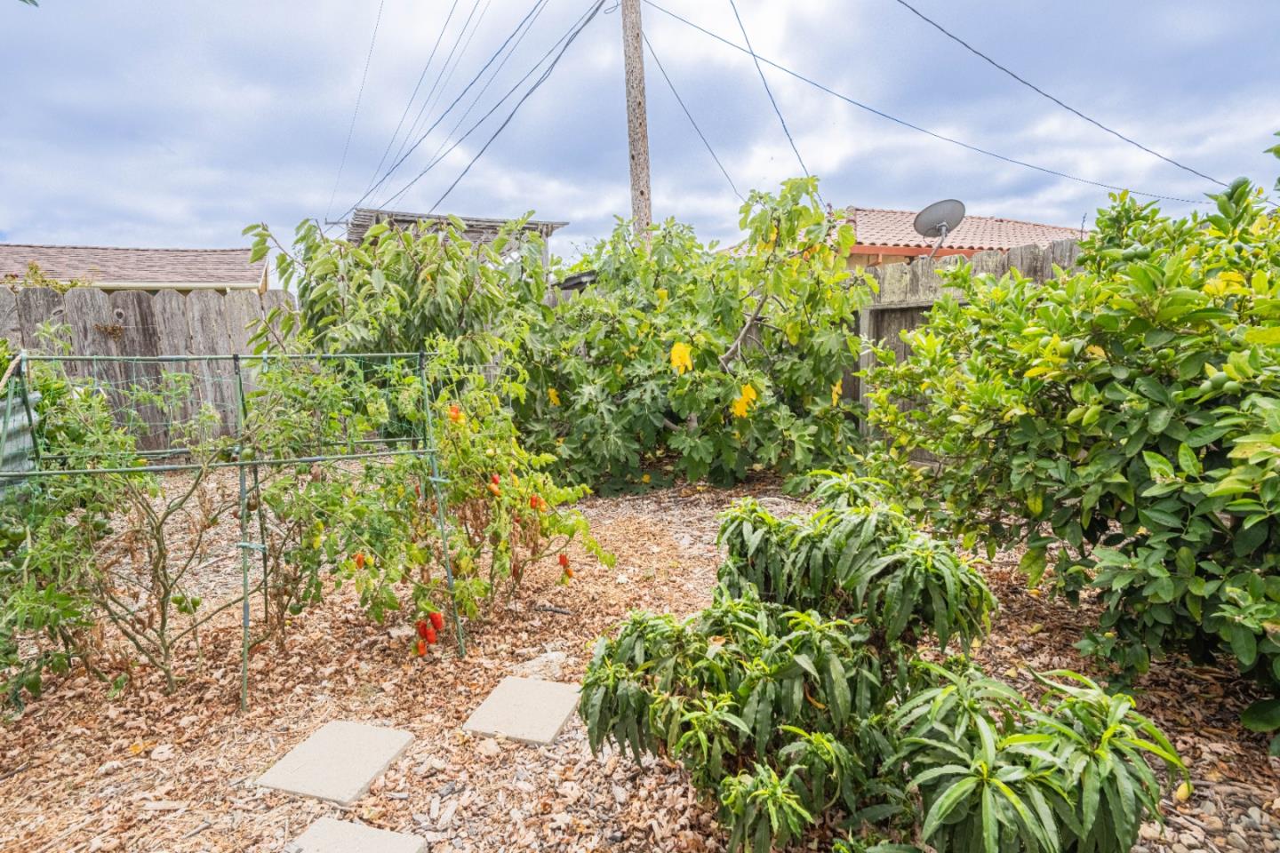 Detail Gallery Image 17 of 22 For 734 Los Coches Ave, Salinas,  CA 93906 - 3 Beds | 1/1 Baths