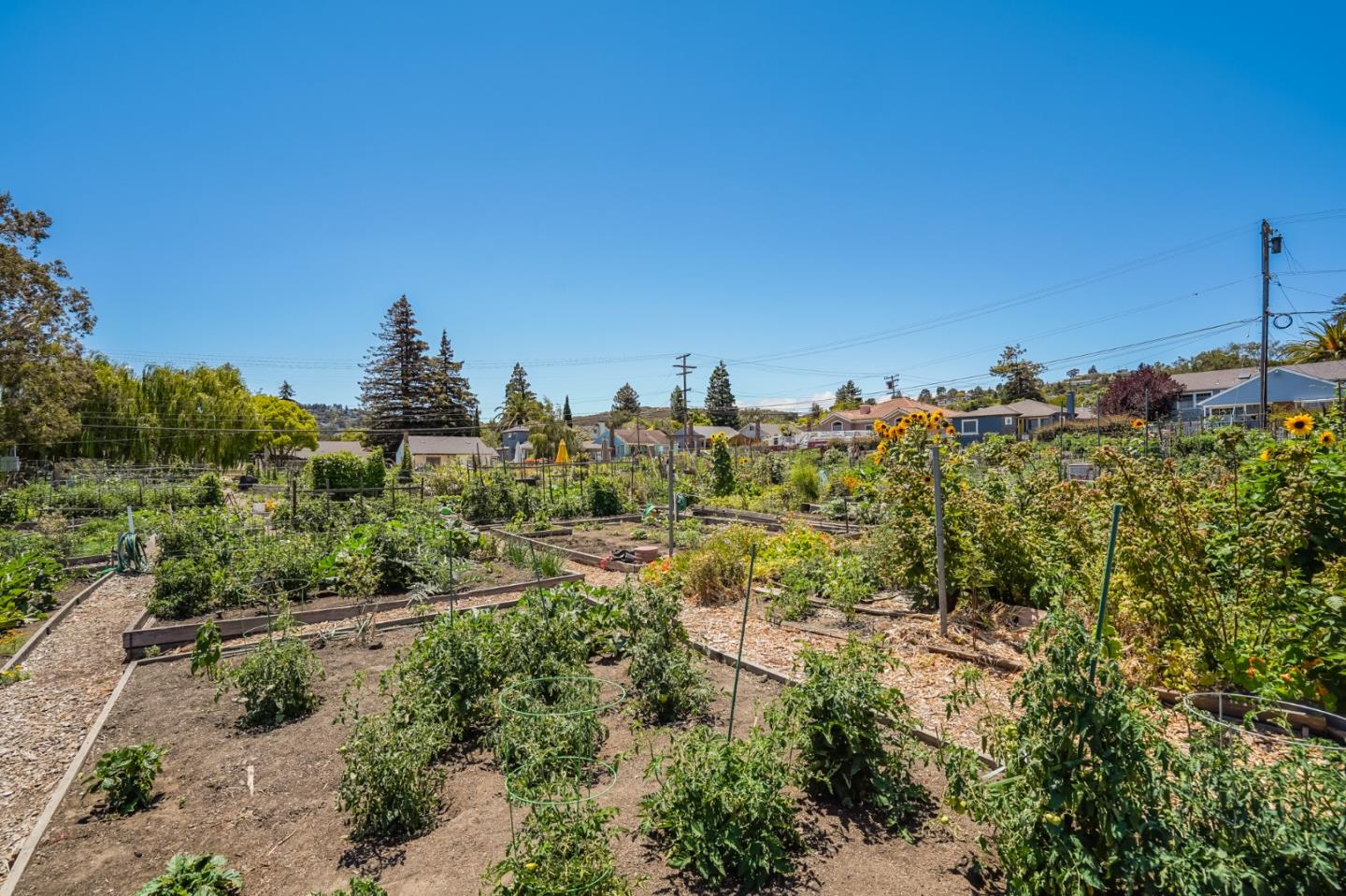 Detail Gallery Image 58 of 70 For 2929 Monterey St, San Mateo,  CA 94403 - 3 Beds | 3 Baths