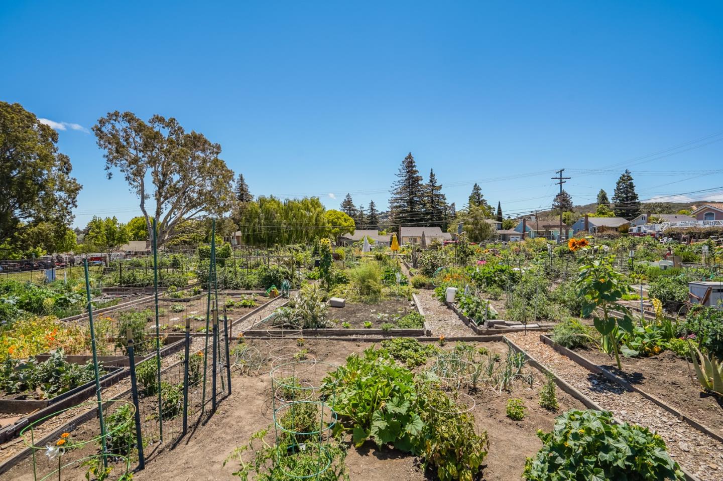 Detail Gallery Image 59 of 70 For 2929 Monterey St, San Mateo,  CA 94403 - 3 Beds | 3 Baths