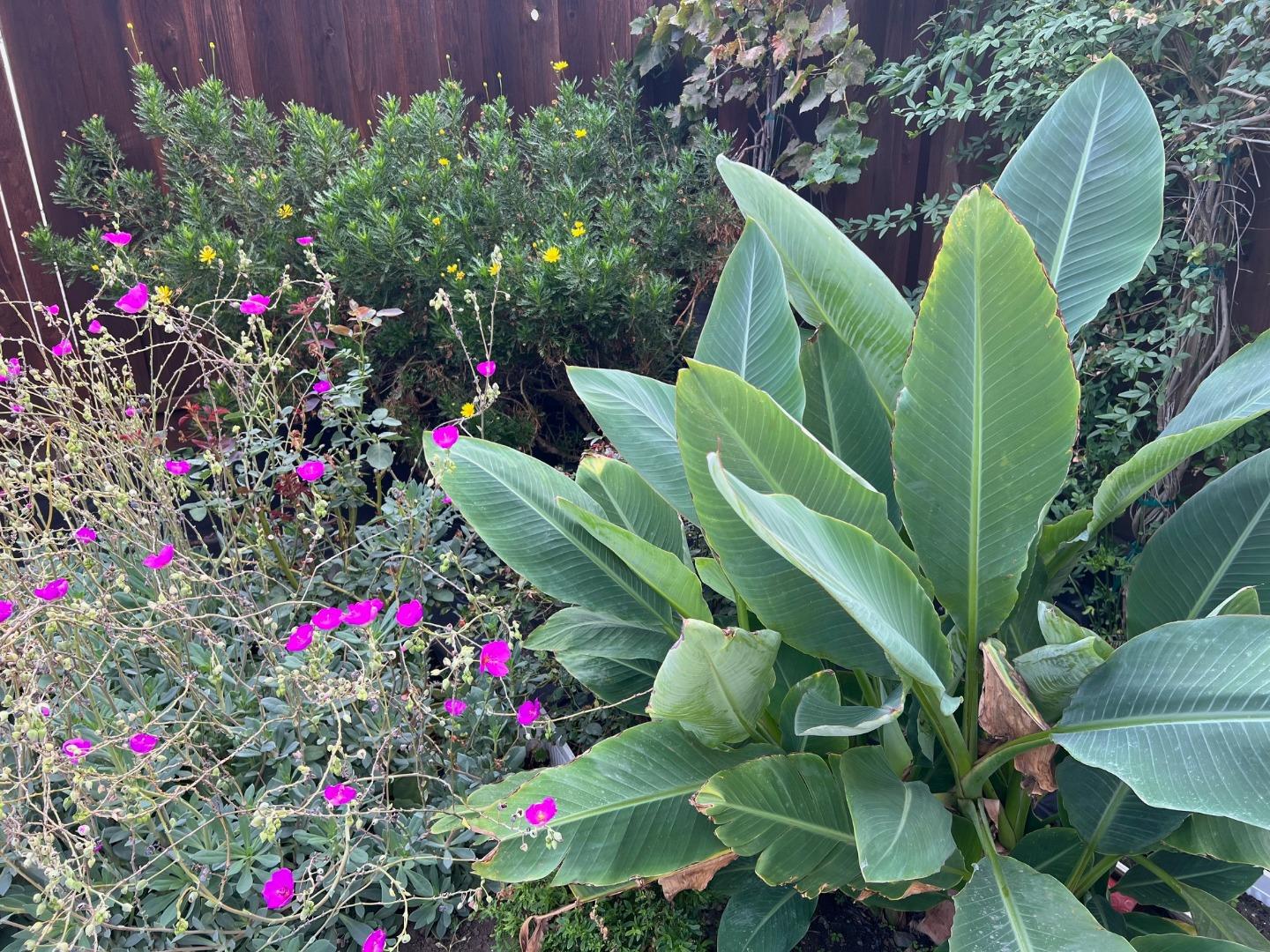 Detail Gallery Image 21 of 21 For 1563 Four Oaks Rd, San Jose,  CA 95131 - 4 Beds | 2/1 Baths