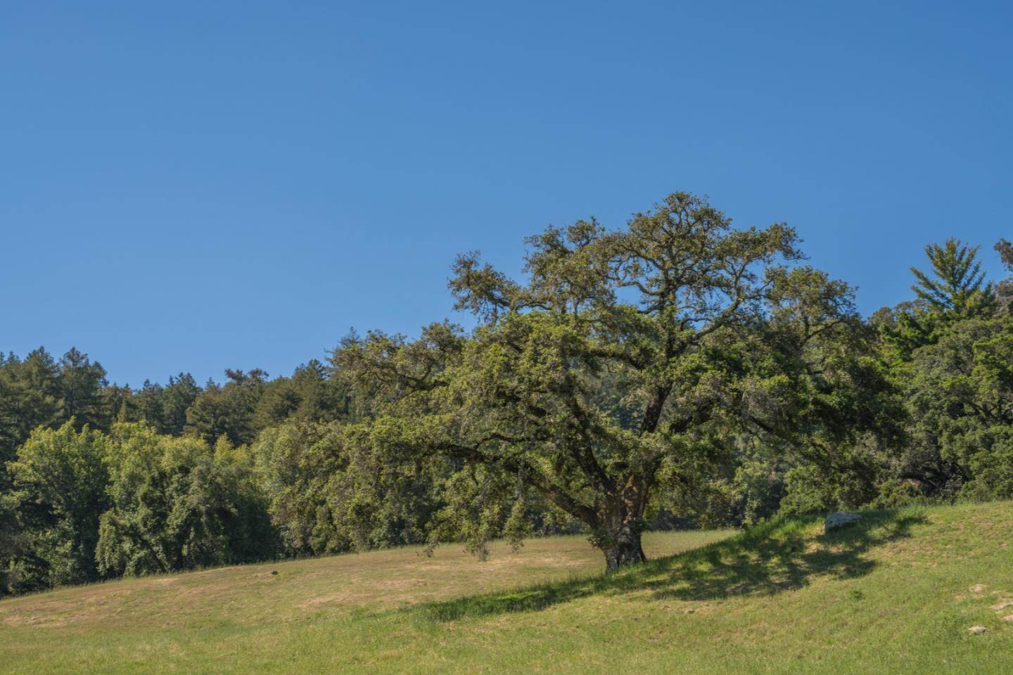 Detail Gallery Image 6 of 7 For 25373 Spanish Ranch Rd, Los Gatos,  CA 95033 - 3 Beds | 2 Baths