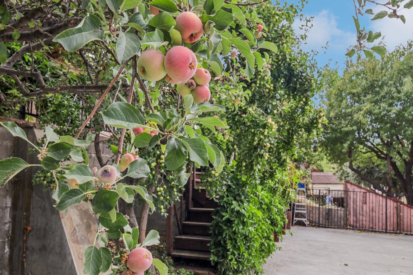Detail Gallery Image 51 of 67 For 801 Fleming Ave, San Jose,  CA 95127 - 4 Beds | 3 Baths