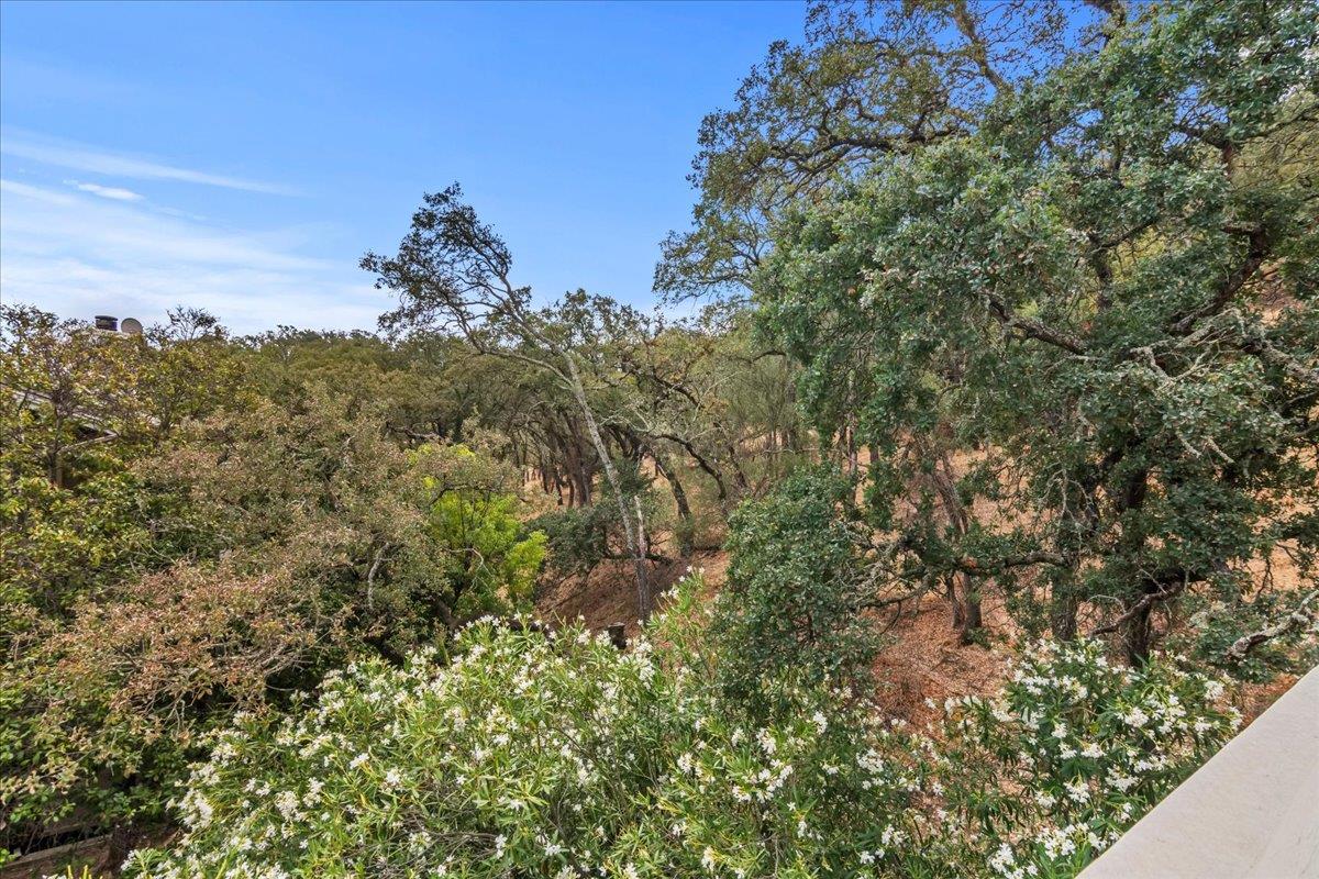Detail Gallery Image 37 of 54 For 359 Ridgeview Dr, Pleasant Hill,  CA 94523 - 3 Beds | 2/1 Baths