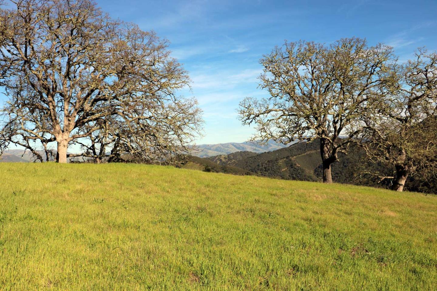 Detail Gallery Image 3 of 10 For 5 Black Mountain Trail (Lot 247), Carmel,  CA 93923 - – Beds | – Baths