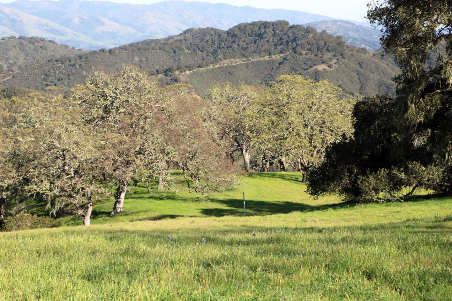 Detail Gallery Image 4 of 10 For 5 Black Mountain Trail (Lot 247), Carmel,  CA 93923 - – Beds | – Baths