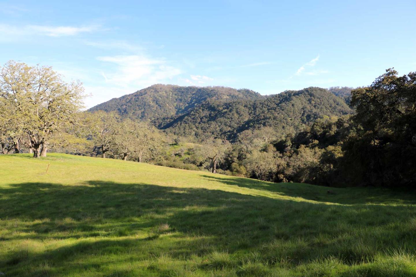 Detail Gallery Image 8 of 10 For 5 Black Mountain Trail (Lot 247), Carmel,  CA 93923 - – Beds | – Baths