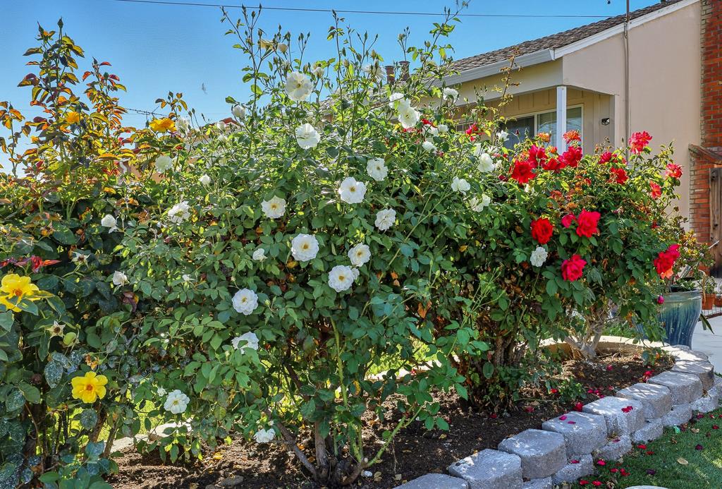 Detail Gallery Image 35 of 43 For 4547 Cerritos Ave, Fremont,  CA 94536 - 5 Beds | 4 Baths