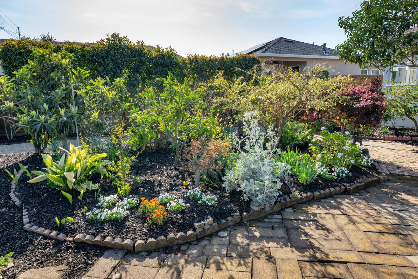 Detail Gallery Image 24 of 25 For 406 Poinsettia Ave, San Mateo,  CA 94403 - 3 Beds | 1 Baths