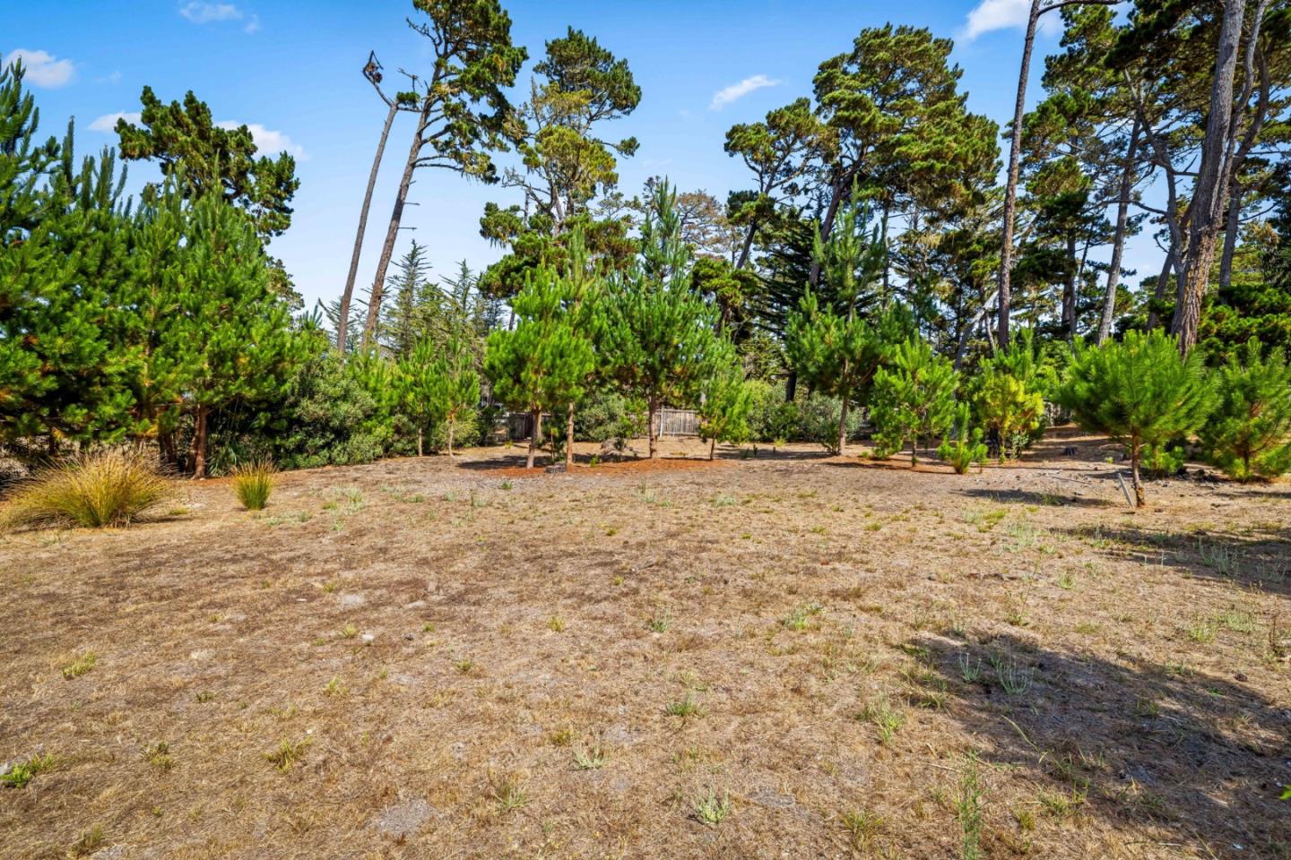 Detail Gallery Image 46 of 47 For 1268 Viscaino, Pebble Beach,  CA 93953 - 4 Beds | 3 Baths