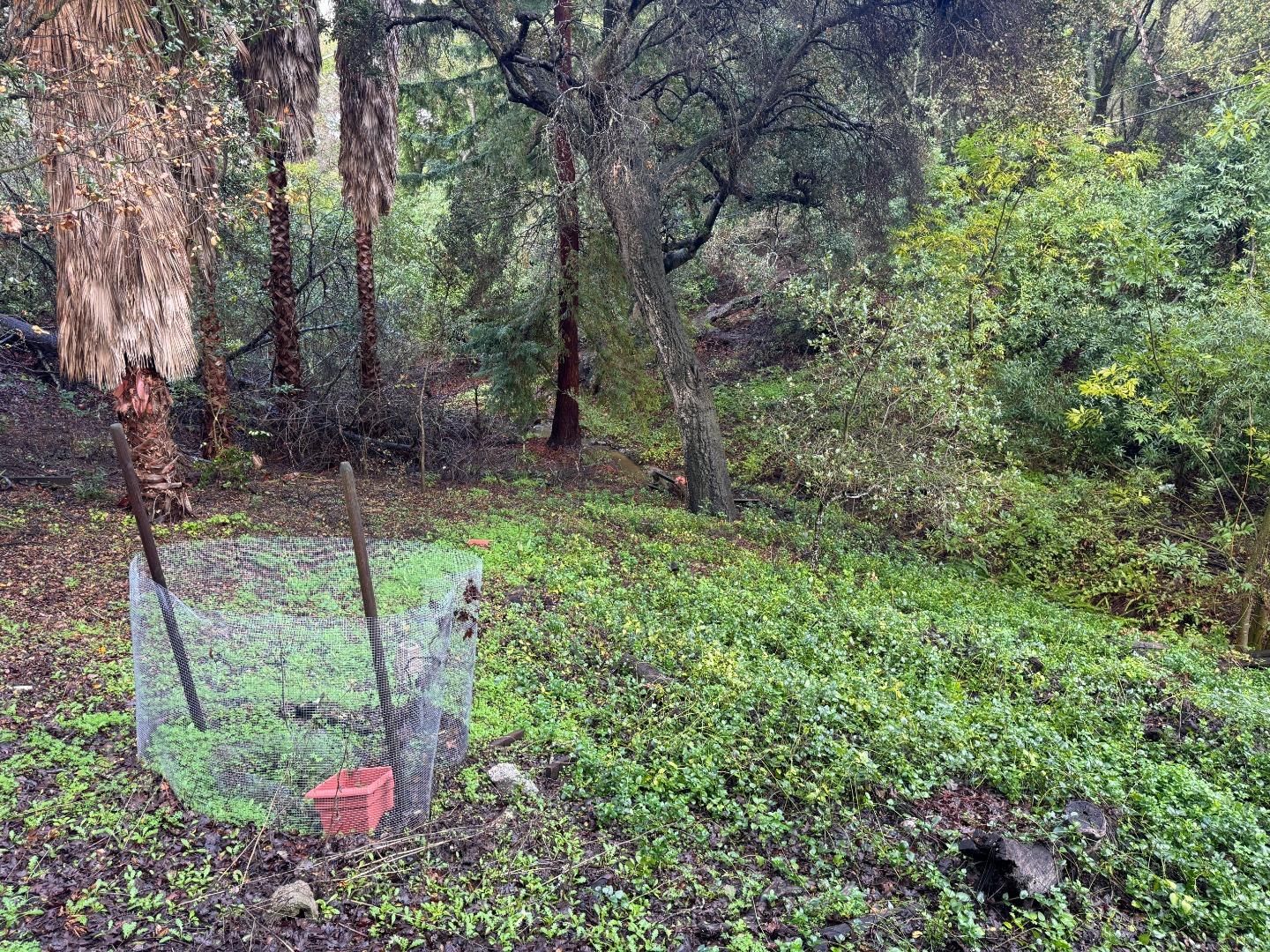 Detail Gallery Image 8 of 10 For 15050 Oriole Rd, Saratoga,  CA 95070 - 5 Beds | 4 Baths