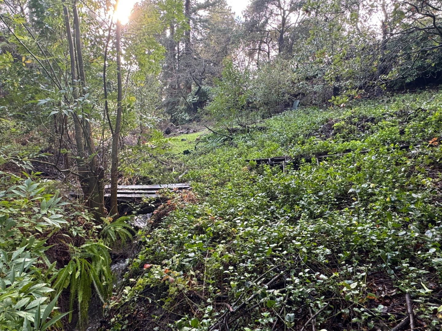 Detail Gallery Image 9 of 10 For 15050 Oriole Rd, Saratoga,  CA 95070 - 5 Beds | 4 Baths