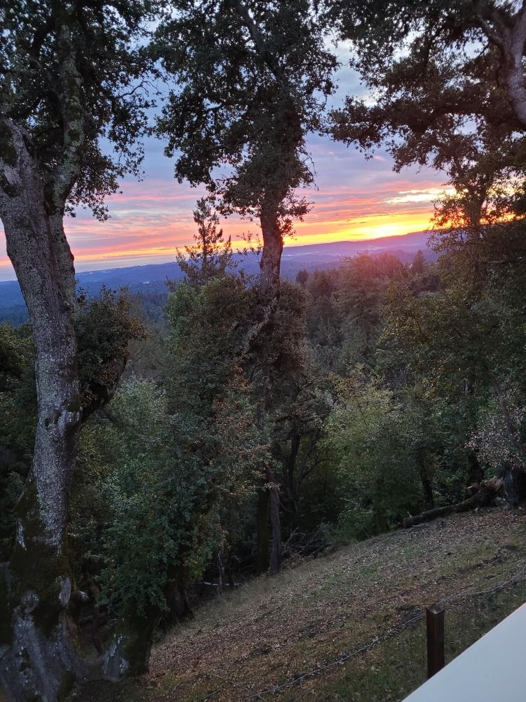 Detail Gallery Image 51 of 61 For 24854 Skyland Rd, Los Gatos,  CA 95033 - 3 Beds | 2 Baths