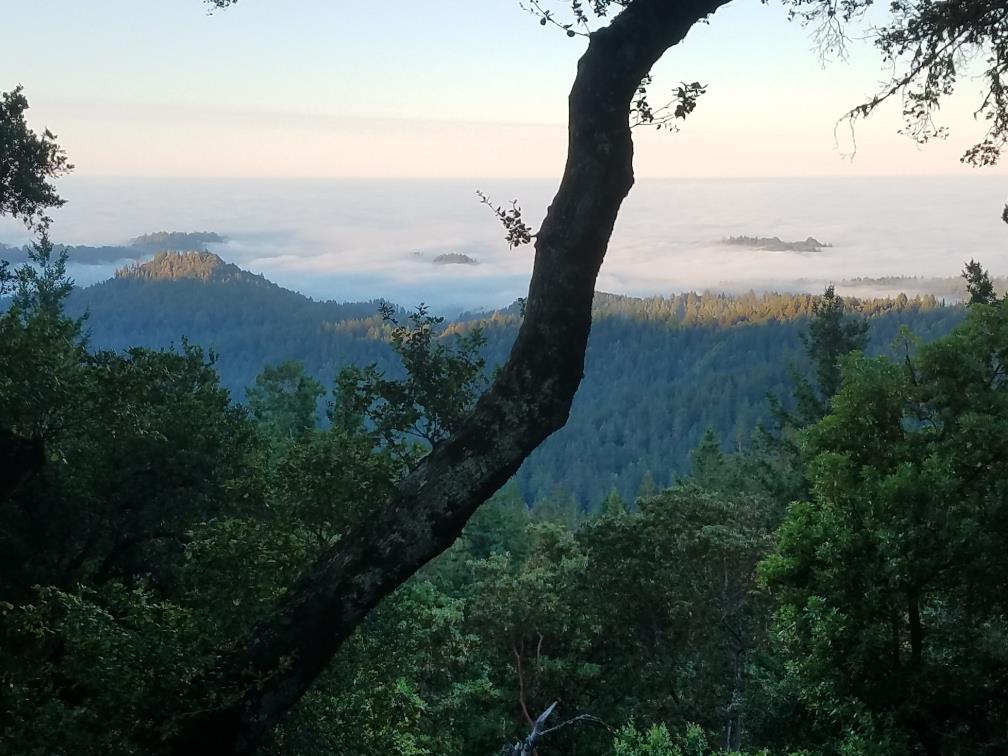 Detail Gallery Image 54 of 61 For 24854 Skyland Rd, Los Gatos,  CA 95033 - 3 Beds | 2 Baths