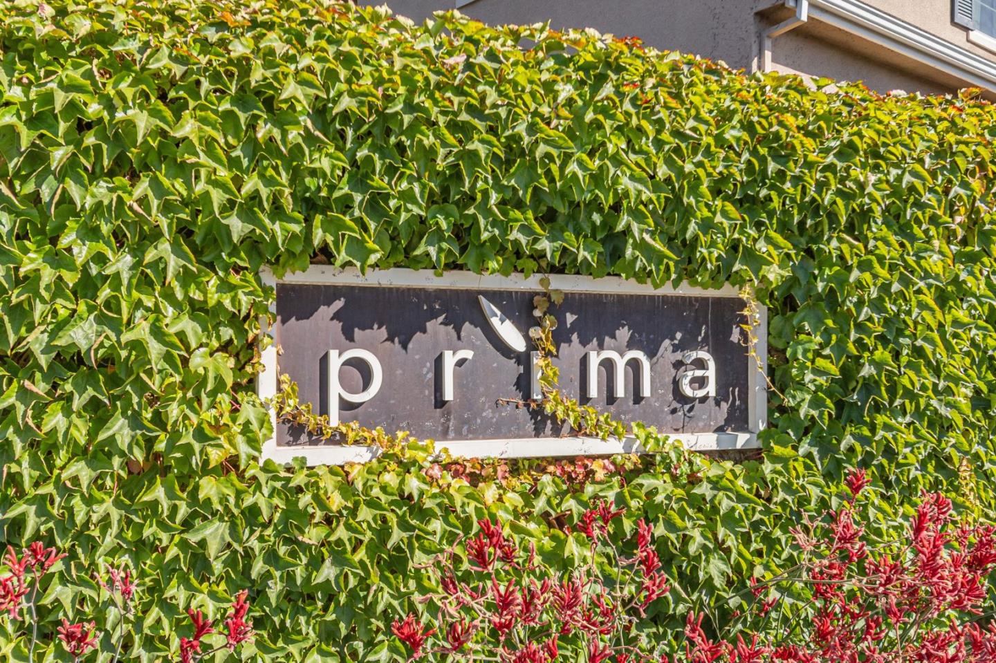 Detail Gallery Image 32 of 32 For 38984 Primula Ter, Newark,  CA 94560 - 3 Beds | 3 Baths