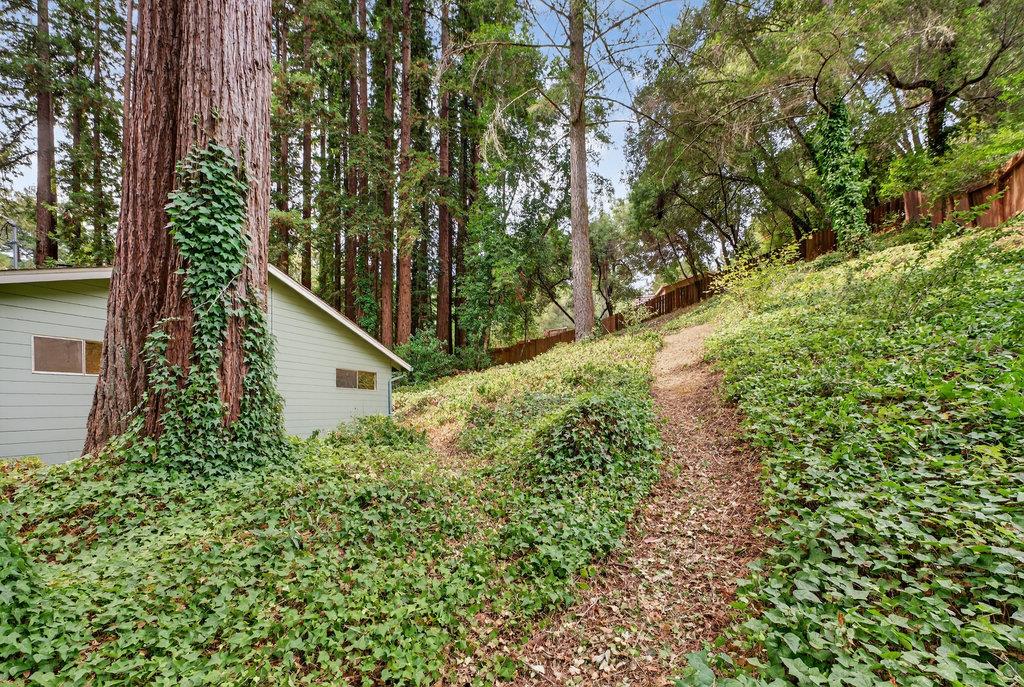 Detail Gallery Image 57 of 62 For 14755 Two Bar Rd, Boulder Creek,  CA 95006 - 5 Beds | 2 Baths