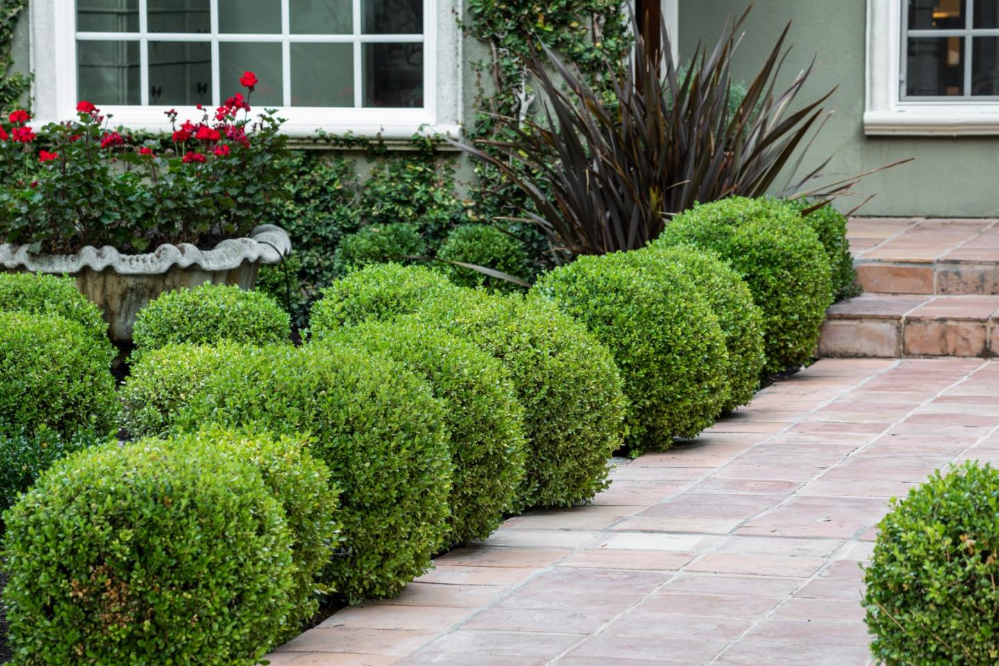 Detail Gallery Image 3 of 25 For 414 Laurel Ave, Menlo Park,  CA 94025 - 4 Beds | 2 Baths