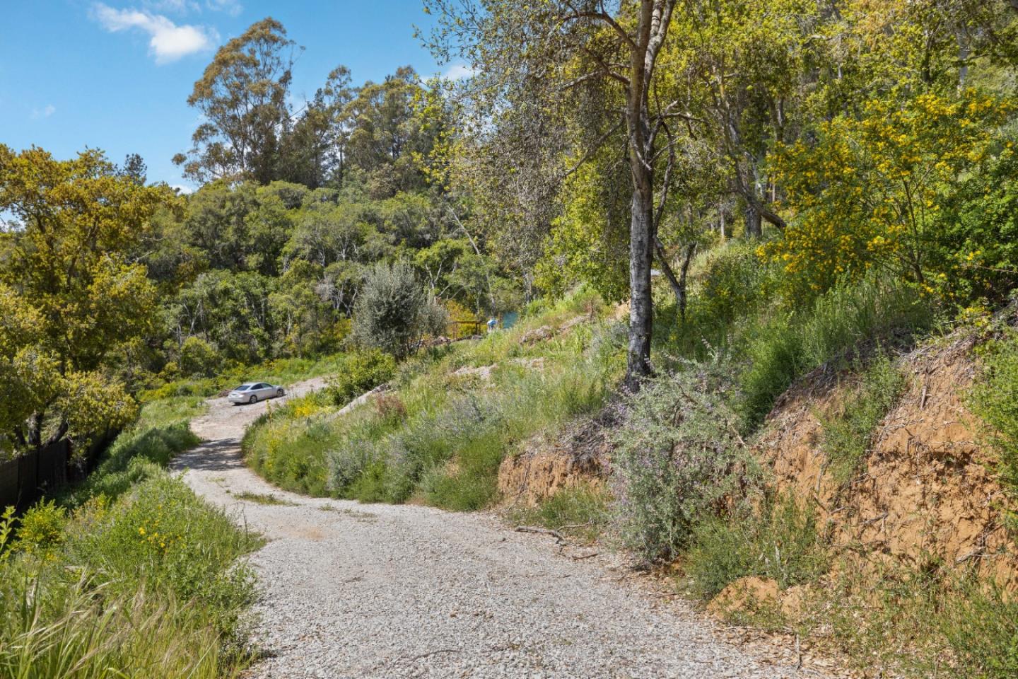 Detail Gallery Image 14 of 31 For 280 Petery Ln, Aptos,  CA 95003 - – Beds | – Baths