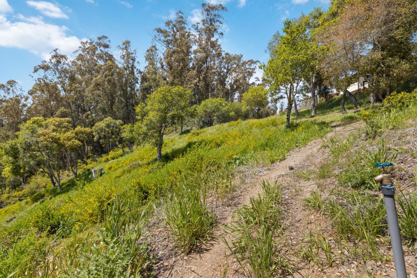 Detail Gallery Image 17 of 31 For 280 Petery Ln, Aptos,  CA 95003 - – Beds | – Baths