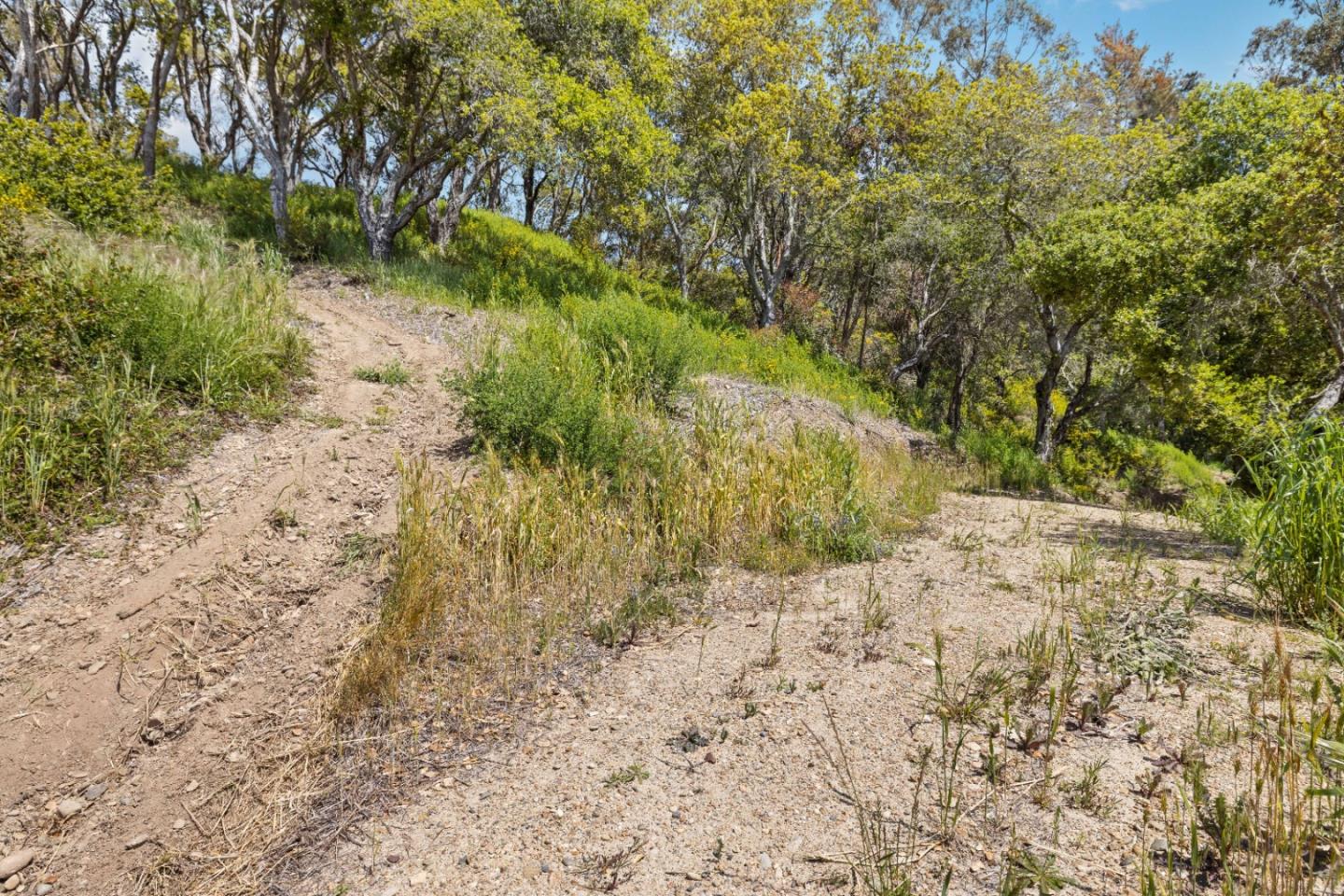 Detail Gallery Image 22 of 31 For 280 Petery Ln, Aptos,  CA 95003 - – Beds | – Baths