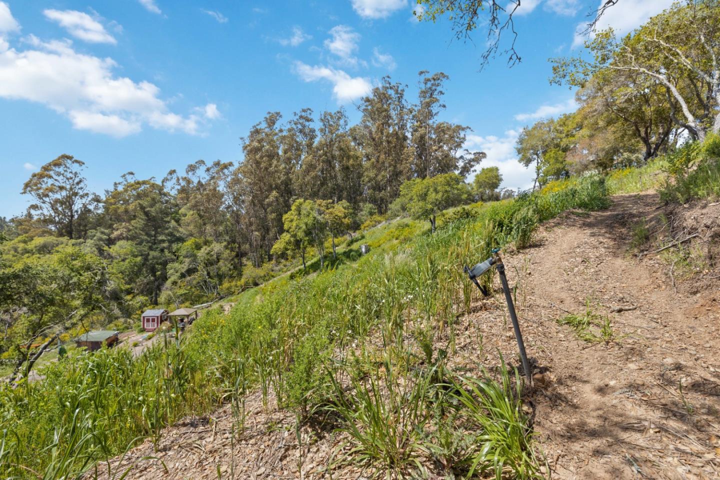 Detail Gallery Image 26 of 31 For 280 Petery Ln, Aptos,  CA 95003 - – Beds | – Baths