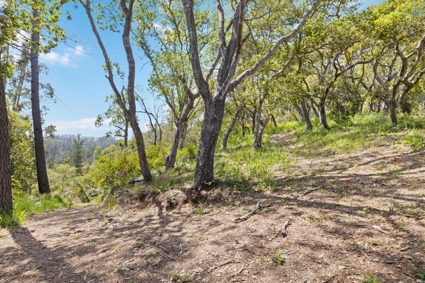 Detail Gallery Image 29 of 31 For 280 Petery Ln, Aptos,  CA 95003 - – Beds | – Baths